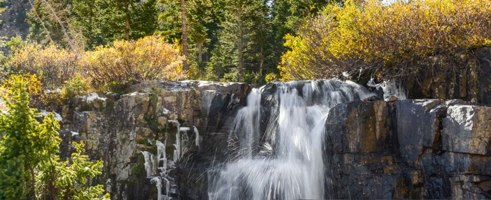 A waterfall cascades over rocky cliffs surrounded by lush green trees and bushes in a forest setting.