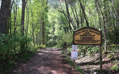 Chasing the High Country: A Summer Guide to Ouray’s Best 4×4 Trails